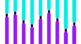 DynaSets